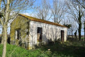 Hors les murs, à la Cabane de la Craie Cabane de la Craie