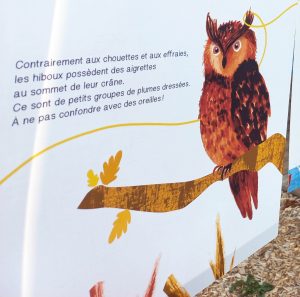 Suis du doigt la chouette Houhou ! Connaissez‑vous vraiment chouettes et hiboux ?
Tout l’été, la poudrière devient un nid d’images inspiré de l’album‑documentaire de Benoît Broyart et Nina Le Comte (La Cabane Bleue).
Suivez un fil‑branche : ici la chouette effraie à “face de cœur”, là le sommet du crâne d’un hibou… et chhh… laissez‑vous guider.